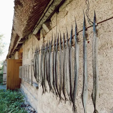 ゲストハウス Muhu Tonise Talu *