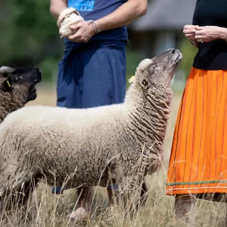 Muhu Tonise Talu بيت ضيافة *
