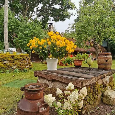 ゲストハウス Muhu Tonise Talu