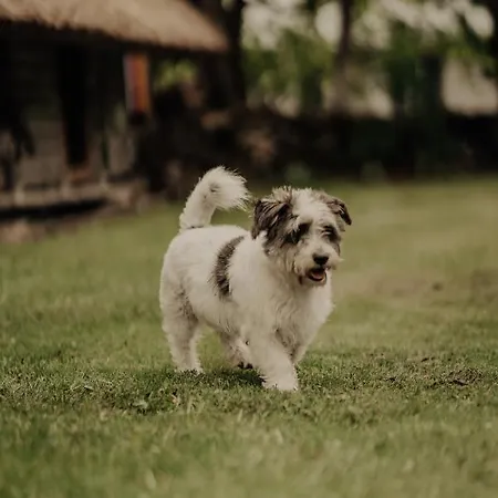 Muhu Tonise Talu بيت ضيافة