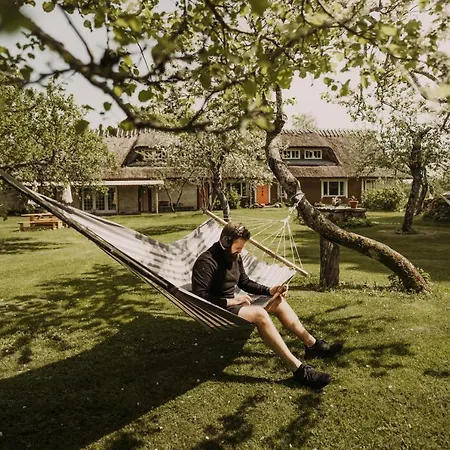 Muhu Tonise Talu ゲストハウス Liiva