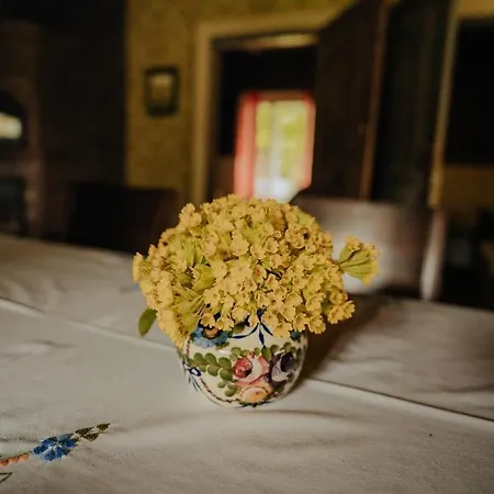 Muhu Tonise Talu * Liiva