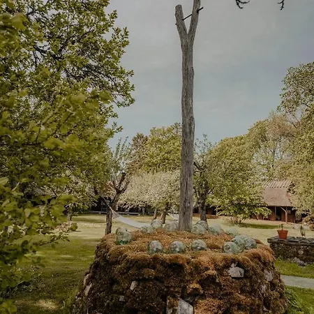 Muhu Tonise Talu Maison d'hôtes Liiva (Saaremaa)