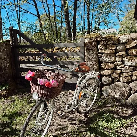 بيت ضيافة Muhu Tonise Talu