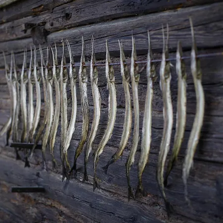 Muhu Tonise Talu * Liiva (Saaremaa)