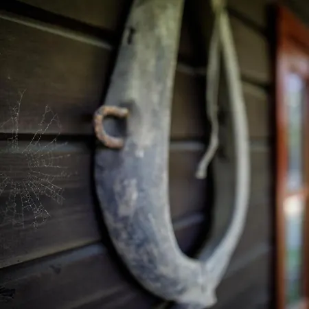 Muhu Tonise Talu ゲストハウス Liiva