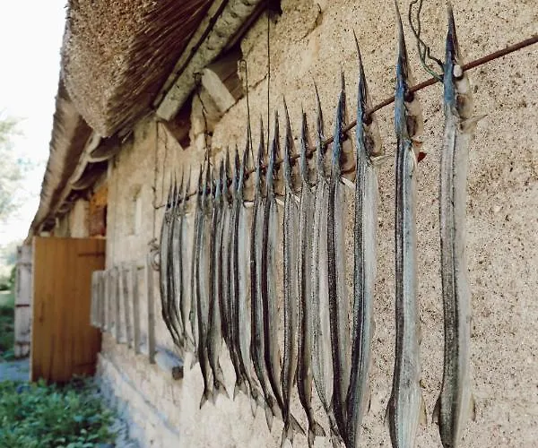 Πανσιόν Muhu Tonise Talu *