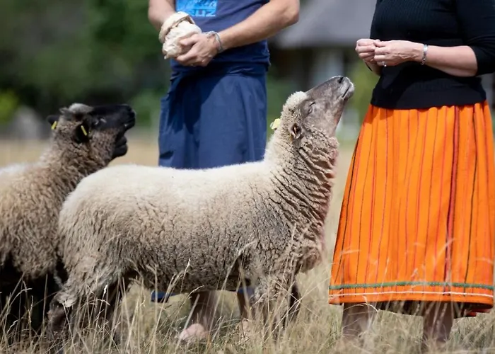 Muhu Tonise Talu Pensjonat *