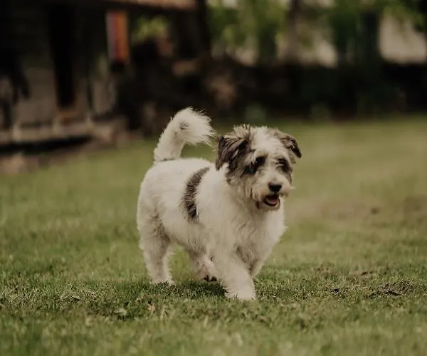 Muhu Tonise Talu Πανσιόν