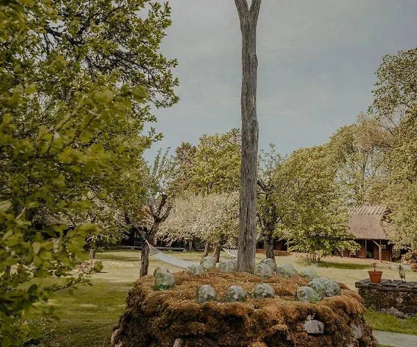 Muhu Tonise Talu Πανσιόν Liiva (Saaremaa)